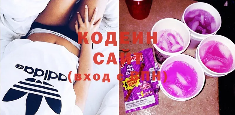 Кодеиновый сироп Lean Purple Drank  Новосиль 